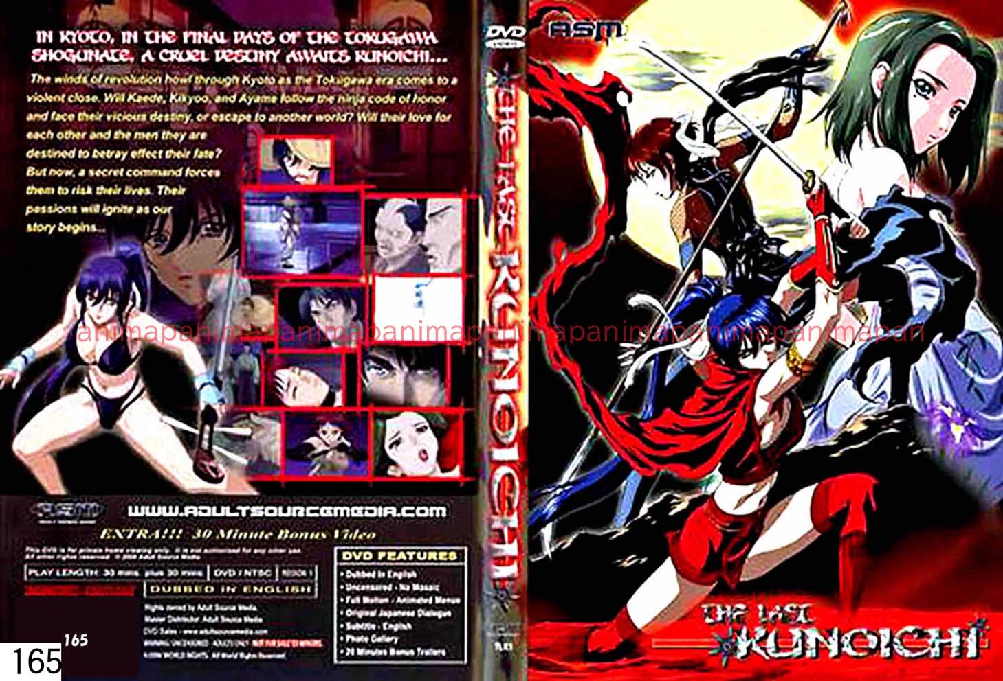 THE LAST KUNOICHI
