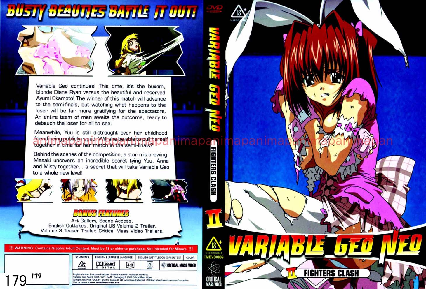 VARIABLE GEO NEO FIGHTERS CLASH 2