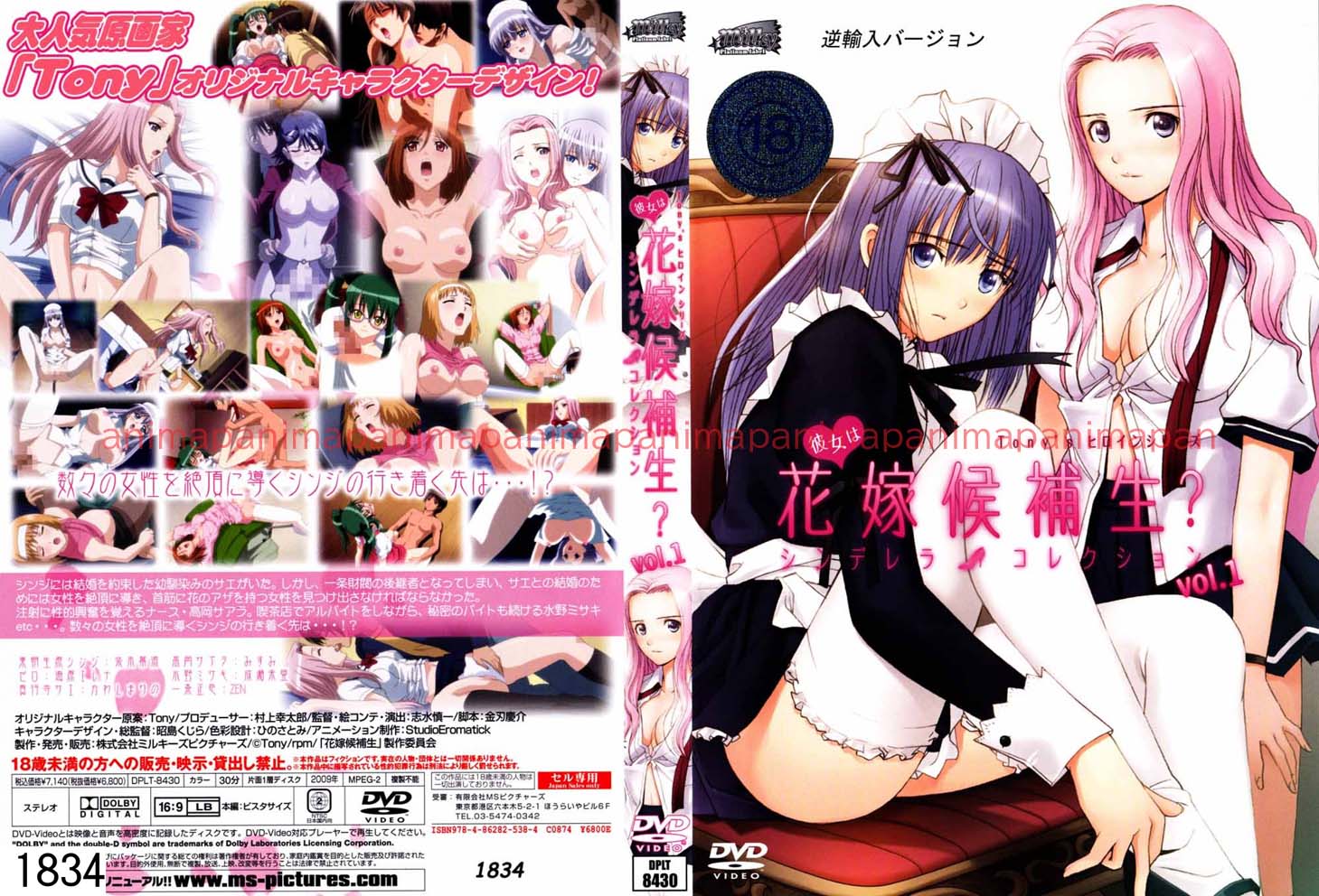 彼女は花嫁候補生？ シンデレラコレクション vol.1（逆輸入）