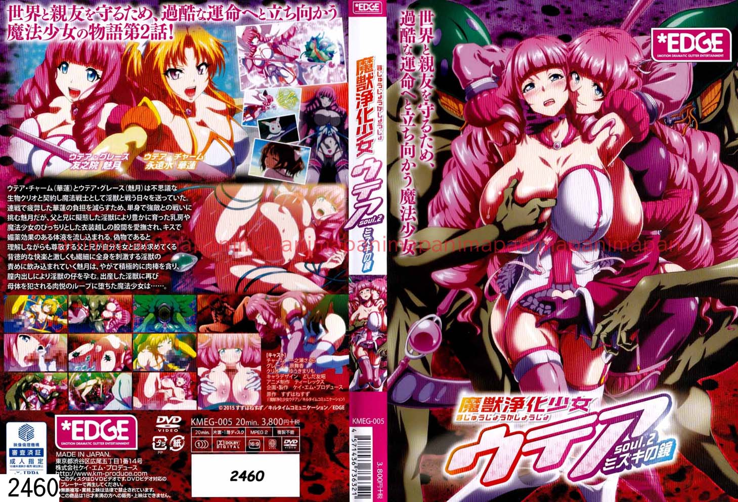 魔獣浄化少女ウテア soul.2 ミズキの鏡
