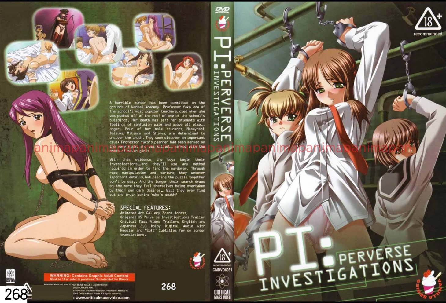 PI PERVERSE INVESTIGATIONS