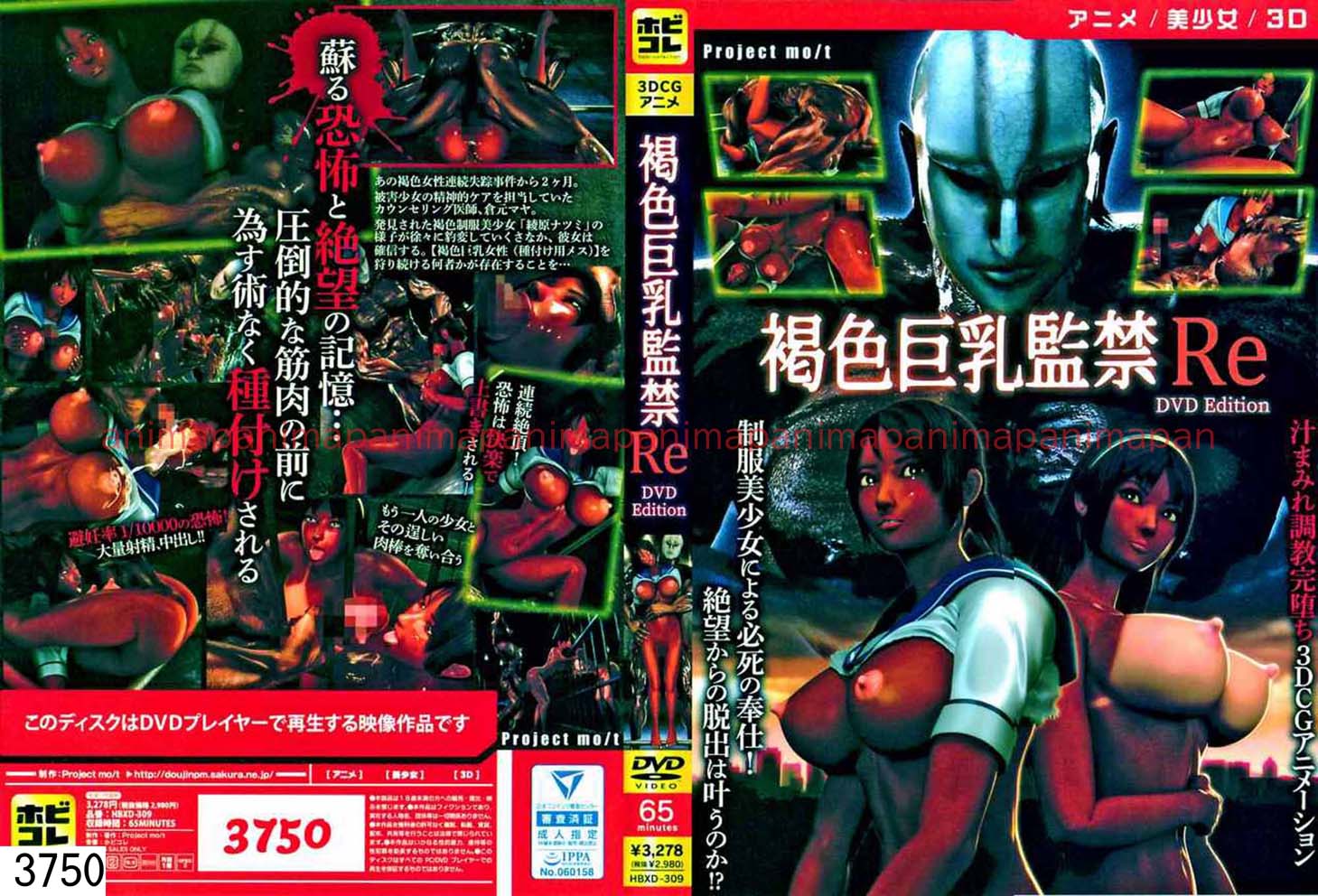 褐色巨乳監禁Re ［DVD Edition］