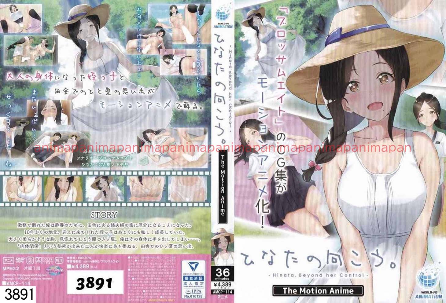 ひなたの向こう。 The Motion Anime