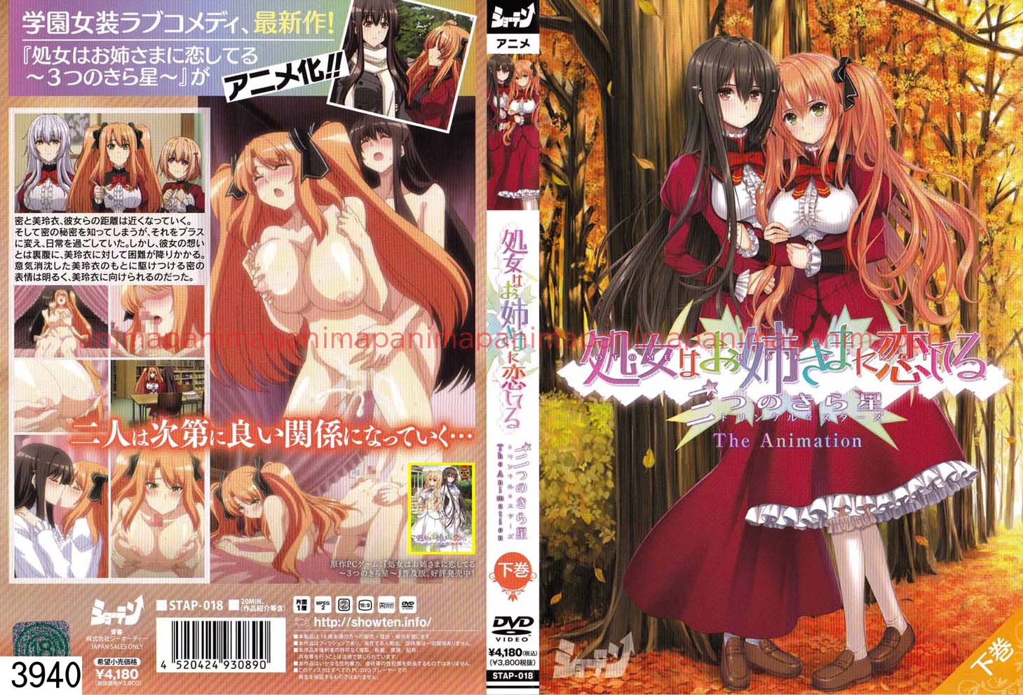 処女はお姉さまに恋してる 三つのきら星 The Animation 下巻